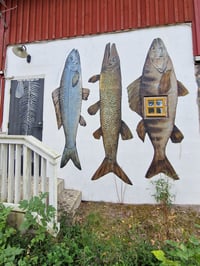 Fish Art on side of Nordic Building